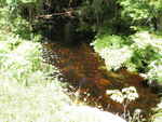 Culvert Crossing, Talmadge, Maine