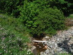 Culvert Crossing, Robbinston, Maine