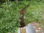 Culvert Crossing, Robbinston, Maine