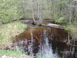 Culvert Crossing, Pudding Brook, Princeton, Maine