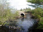 Culvert Crossing, Grand Lake Stream Plt, Maine