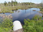 Culvert Crossing, Grand Lake Stream Plt, Maine