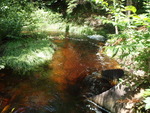 Culvert Crossing, Simsquish Brook, Dyer Twp, Maine