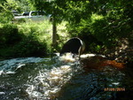 Culvert Crossing, Simsquish Brook, Dyer Twp, Maine