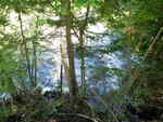 Culvert Crossing, West Branch Amazon Brook, Grand Lake Stream Plt, Maine