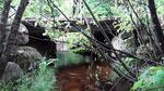 Culvert Crossing, West Branch Amazon Brook, Grand Lake Stream Plt, Maine