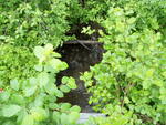 Culvert Crossing, Getchell Brook, Carroll Plt, Maine