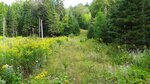 Culvert Crossing, Getchell Brook, Carroll Plt, Maine