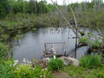 Culvert Crossing, Getchell Brook, Carroll Plt, Maine