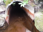 Culvert Crossing, Grand Lake Stream Plt, Maine