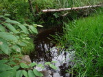 Culvert Crossing, Grand Lake Stream Plt, Maine