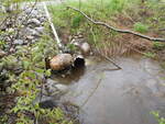 Culvert Crossing, Calais, Maine