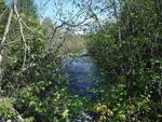 Culvert Crossing, Grand Lake Brook, T6 ND BPP, Maine