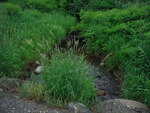 Multiple Culvert Crossing, Lindsey Brook, Topsfield, Maine