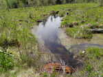 Culvert Crossing, Indian Twp Res, Maine