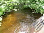 Culvert Crossing, Waite, Maine