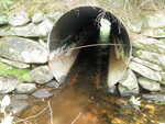 Culvert Crossing, Waite, Maine
