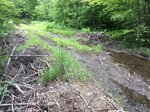 Culvert Crossing, Waite, Maine