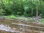 Culvert Crossing, Waite, Maine