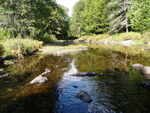 Culvert Crossing, Little Tomah Stream, Codyville Plt, Maine