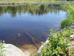 Culvert Crossing, Wapsaconhagan Brook, Alexander, Maine