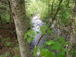 Culvert Crossing, Waite, Maine