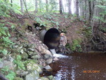 Culvert Crossing, Waite, Maine