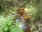 Culvert Crossing, Waite, Maine