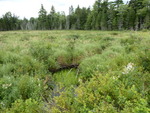 Culvert Crossing, Talmadge, Maine
