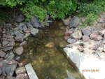 Culvert Crossing, Robbinston, Maine