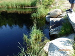 Culvert Crossing, Vanceboro, Maine