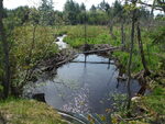 Culvert Crossing, Four Mile Stream, Grand Lake Stream Plt, Maine
