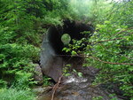 Culvert Crossing, Jim Brown Brook, Codyville Plt, Maine