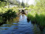 Culvert Crossing, Grand Lake Stream Plt, Maine