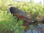 Culvert Crossing, Stony Brook, Baileyville, Maine