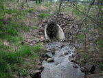 Culvert Crossing, Robbinston, Maine