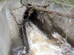 Culvert Crossing, Beaver Brook, Calais, Maine