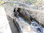 Culvert Crossing, Beaver Brook, Calais, Maine