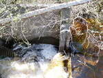 Culvert Crossing, Beaver Brook, Calais, Maine