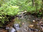 Bridge Crossing, Big Musquash Stream, Grand Lake Stream Plt, Maine