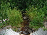 Culvert Crossing, Robbinston, Maine