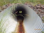 Culvert Crossing, Robbinston, Maine