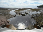 Culvert Crossing, Eastern Marsh Brook, Robbinston, Maine