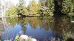 Culvert Crossing, Bonney Brook, Grand Lake Stream Plt, Maine