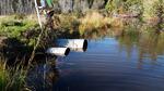 Culvert Crossing, Bonney Brook, Grand Lake Stream Plt, Maine