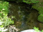 Culvert Crossing, Butterfield Brook, Forest Twp, Maine