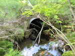 Culvert Crossing, Butterfield Brook, Forest Twp, Maine