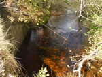Bridge Crossing, Mill Brook, Robbinston, Maine