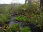 Culvert Crossing, Mill Brook, Robbinston, Maine