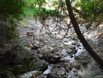 Culvert Crossing, Perry, Maine